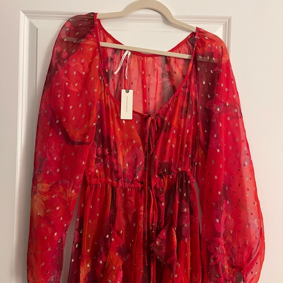 NWT ANTHROPOLOGIE gorgeous dress ! - Picture 5 of 10